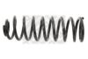 MAPCO 71907 Coil Spring